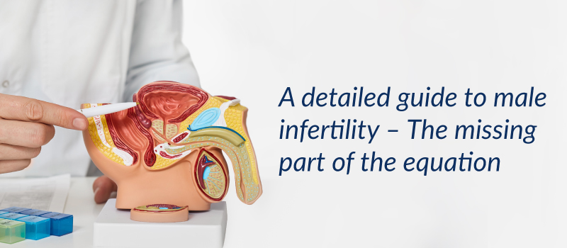 A detailed guide to male infertility – The missing part of the equation
