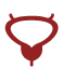 Prostate Disease