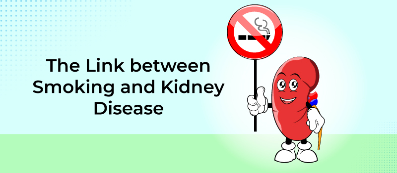 The Link between Smoking and Kidney Disease Understanding the