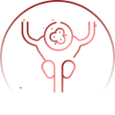 Uro-Oncology