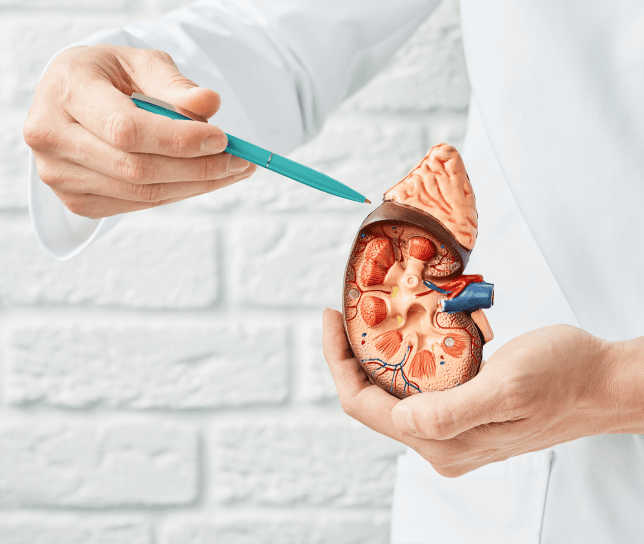 department-of-urology
