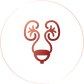 Top Urology Specialist Team