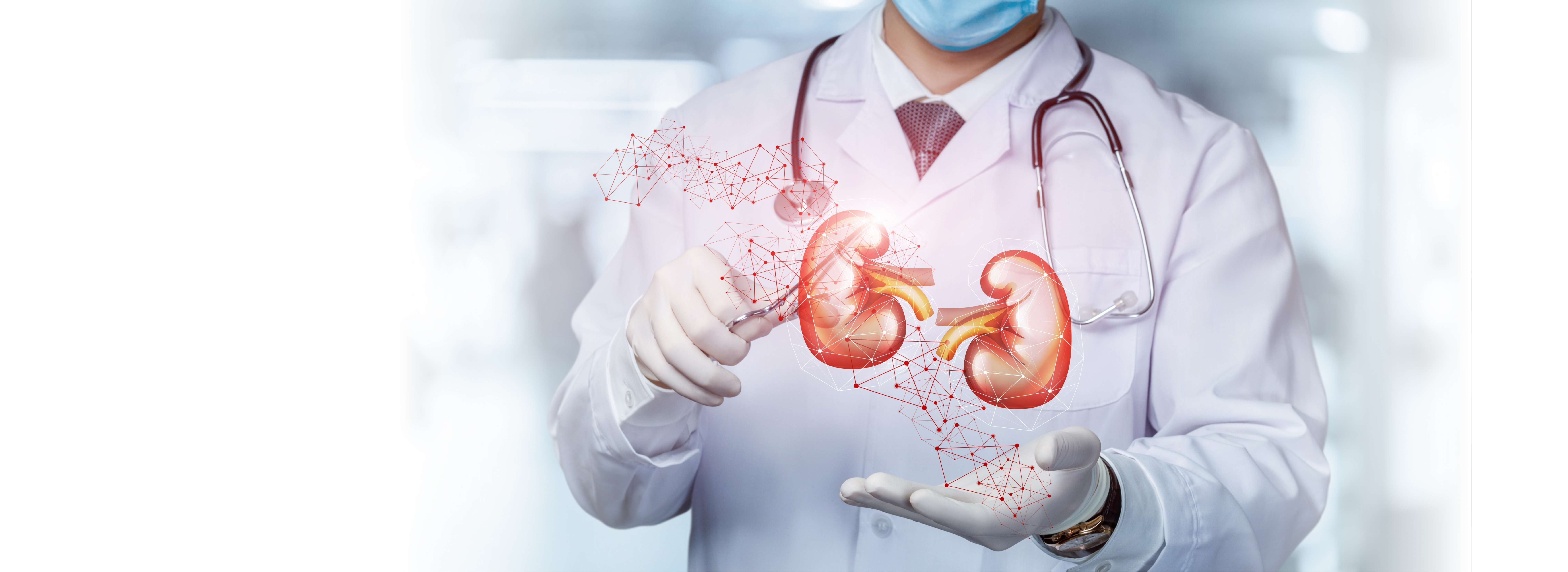 Renal access