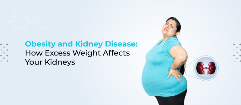 Obesity and Kidney Disease:How Excess Weight Affects Your Kidneys