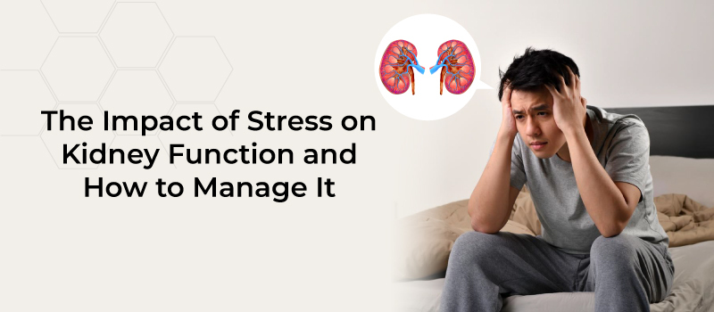 The impact of stress on kidney