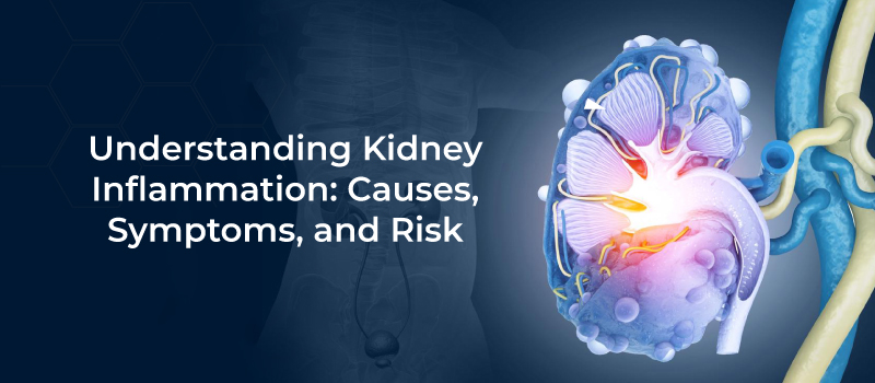 The impact of stress on kidney